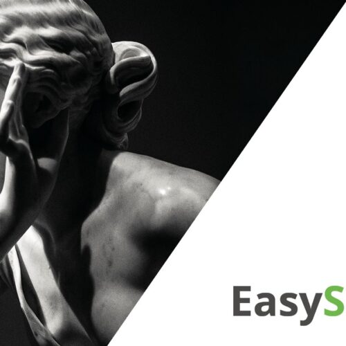 SOFTWARE DDX EASYSTONE